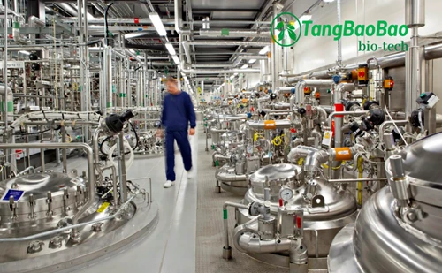 Avance en la producción de Reb M mediante tecnología enzimática patentada
